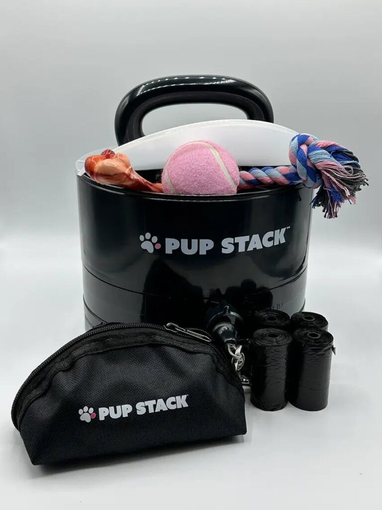 Portable Dog Anchor