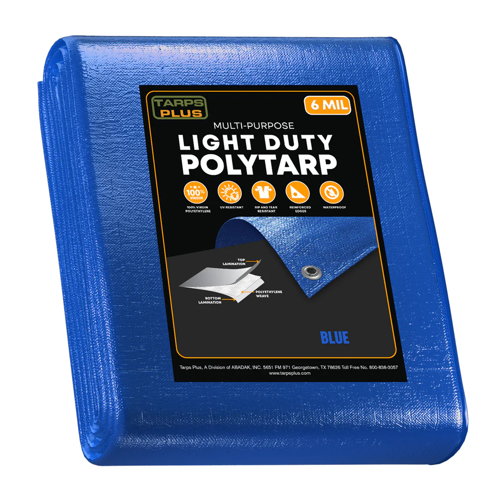 Tarp