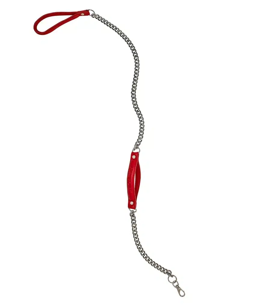Anti-Chew Chain