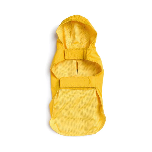 Dog Apparel