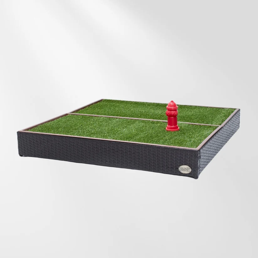 Dog Waste Box