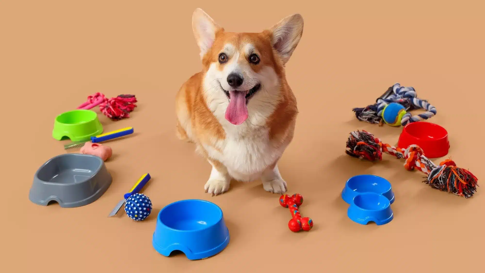 A corgi poses with high-quality pet toys, brushes, and bowls designed by a white label pet products manufacturer