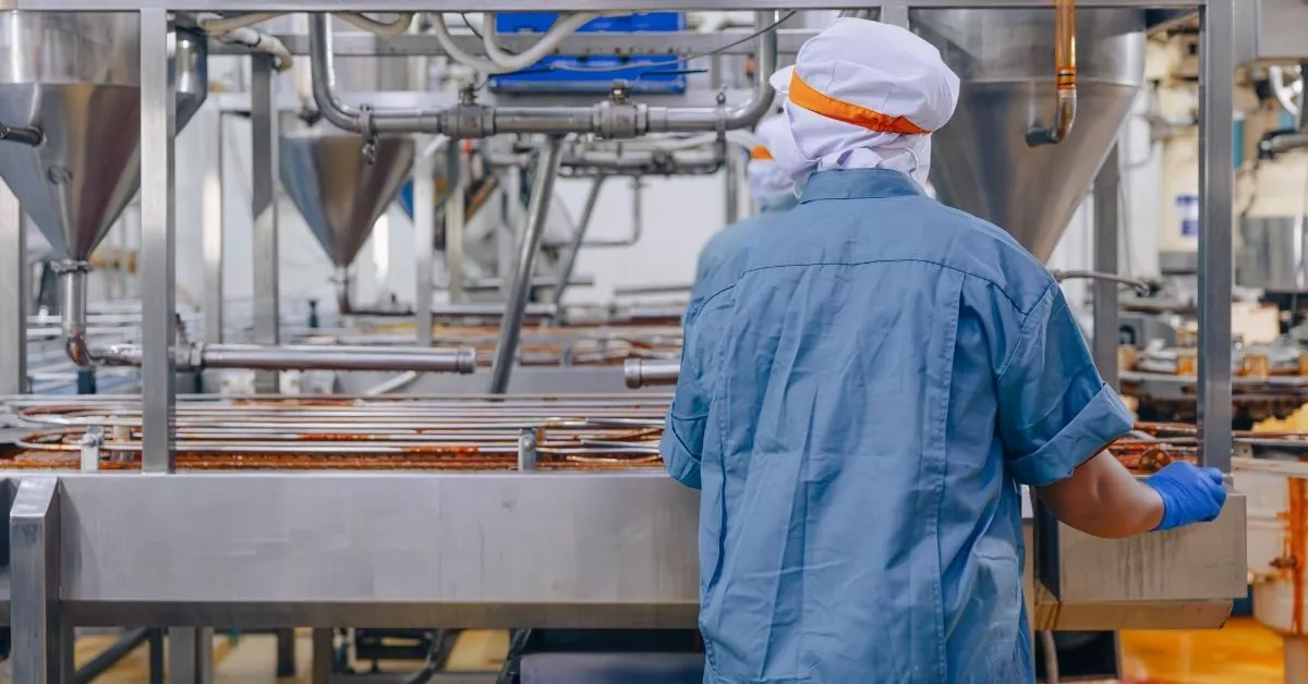 A worker in a factory stands at a production line, monitoring equipment and making sure everything runs smoothly in a clean manufacturing environment